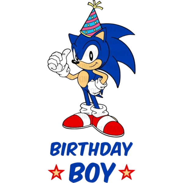 Birthday Boy Sonic